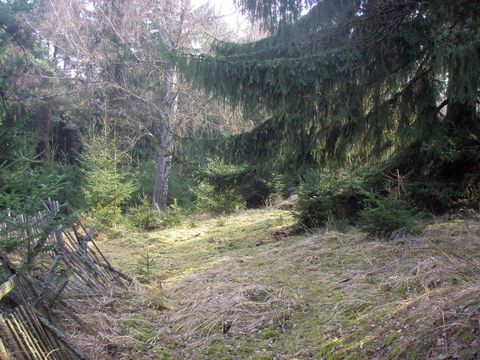 Foto 34